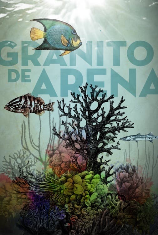 Granito de Arena poster